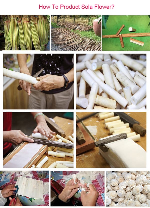 通草花制作工艺